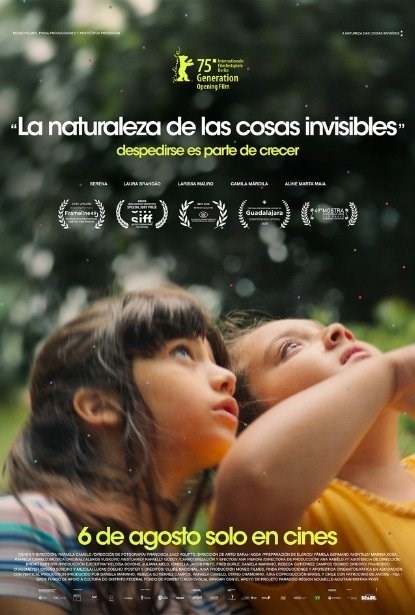 LA NATURALEZA DE LAS COSAS INVISIBLES